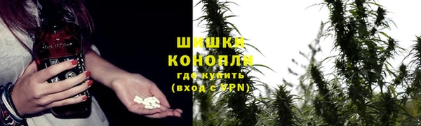 экстази Горняк