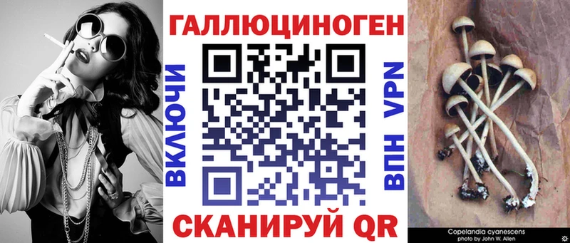 Купить закладки  Нерчинск  Псилоцибиновые грибы ЛСД 